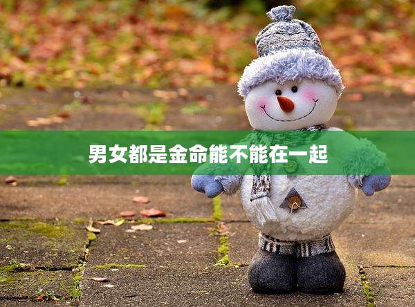 男女都是金命能不能在一起