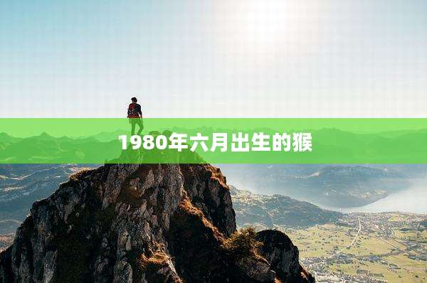 1980年六月出生的猴