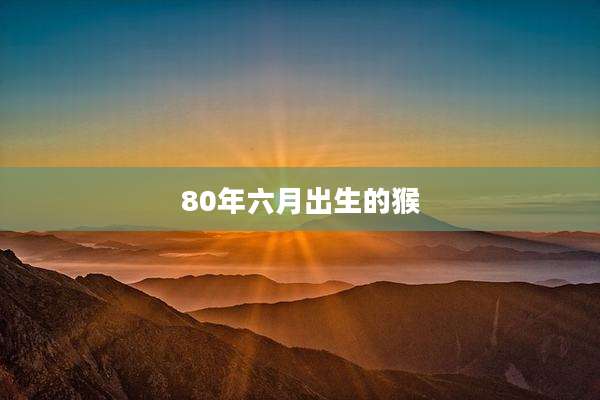 80年六月出生的猴
