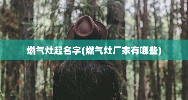 燃气灶起名字(燃气灶厂家有哪些)