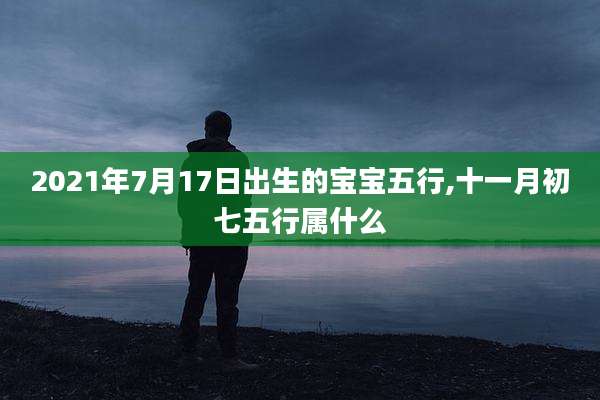 2021年7月17日出生的宝宝五行,十一月初七五行属什么