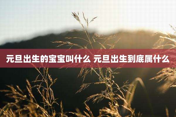 元旦出生的宝宝叫什么 元旦出生到底属什么