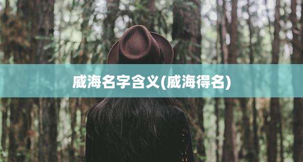 威海名字含义(威海得名)