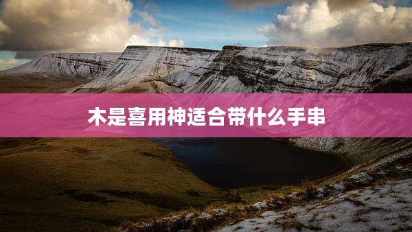 木是喜用神适合带什么手串