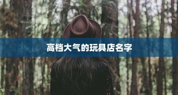 高档大气的玩具店名字
