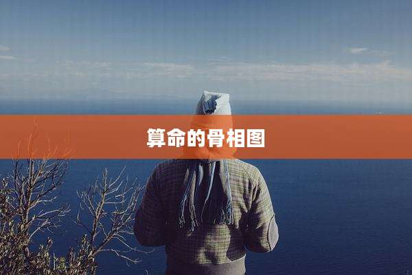 算命的骨相图