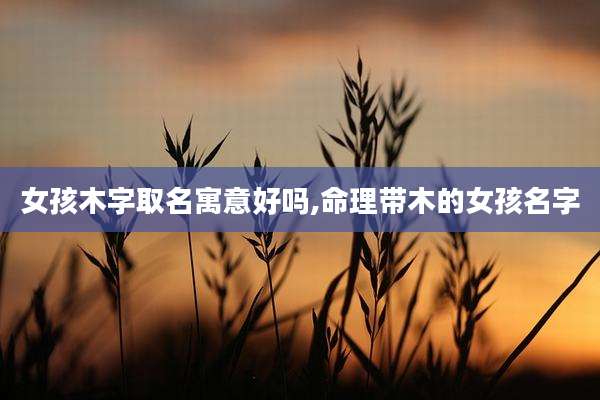 女孩木字取名寓意好吗,命理带木的女孩名字