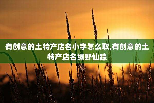 有创意的土特产店名小字怎么取,有创意的土特产店名绿野仙踪