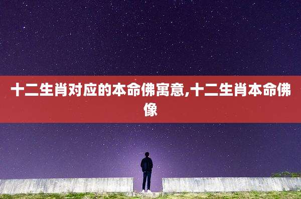 十二生肖对应的本命佛寓意,十二生肖本命佛像