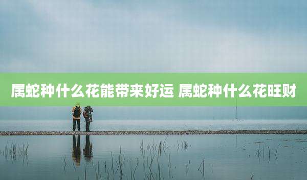属蛇种什么花能带来好运 属蛇种什么花旺财