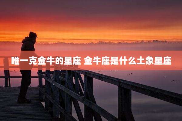 唯一克金牛的星座 金牛座是什么土象星座