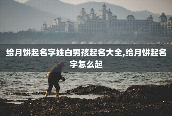 给月饼起名字姓白男孩起名大全,给月饼起名字怎么起