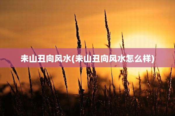 未山丑向风水(未山丑向风水怎么样)