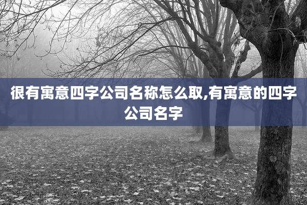 很有寓意四字公司名称怎么取,有寓意的四字公司名字