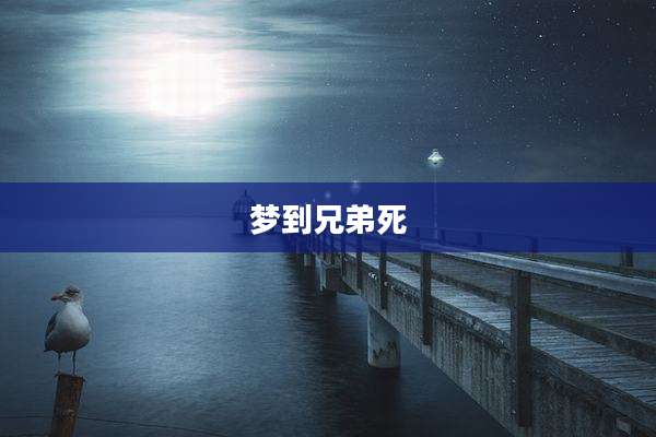 梦到兄弟死