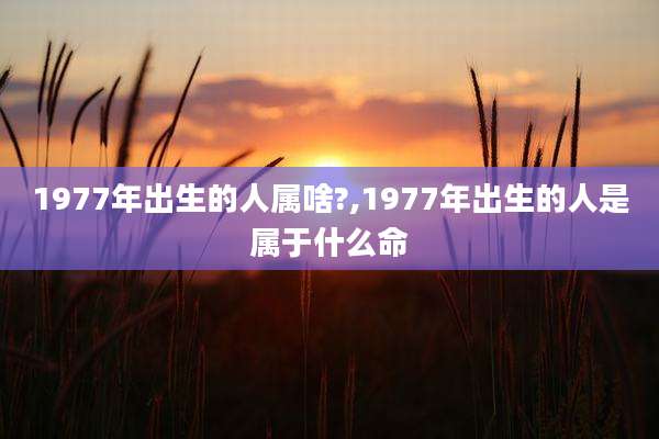 1977年出生的人属啥?,1977年出生的人是属于什么命