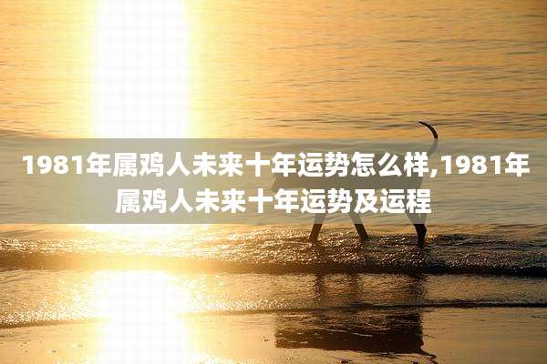 1981年属鸡人未来十年运势怎么样,1981年属鸡人未来十年运势及运程