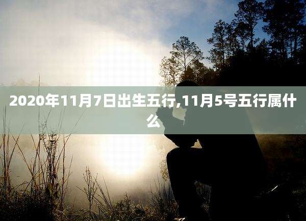 2020年11月7日出生五行,11月5号五行属什么