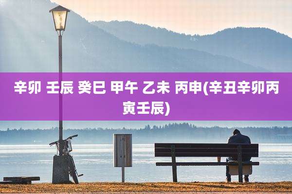 辛卯 壬辰 癸巳 甲午 乙未 丙申(辛丑辛卯丙寅壬辰)