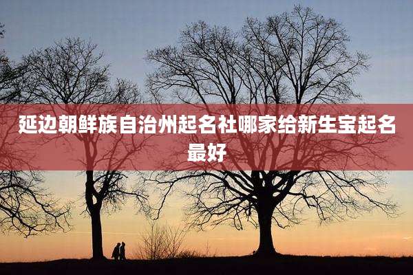 延边朝鲜族自治州起名社哪家给新生宝起名最好