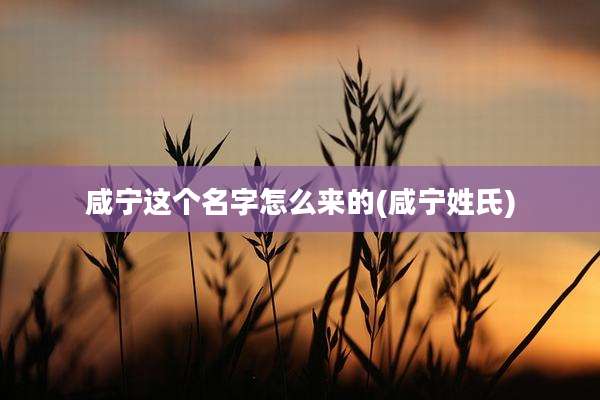 咸宁这个名字怎么来的(咸宁姓氏)