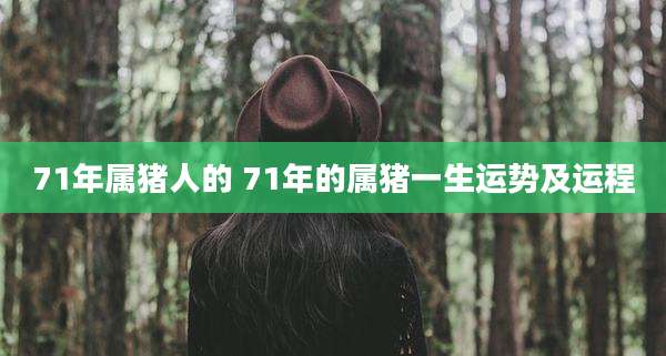71年属猪人的 71年的属猪一生运势及运程