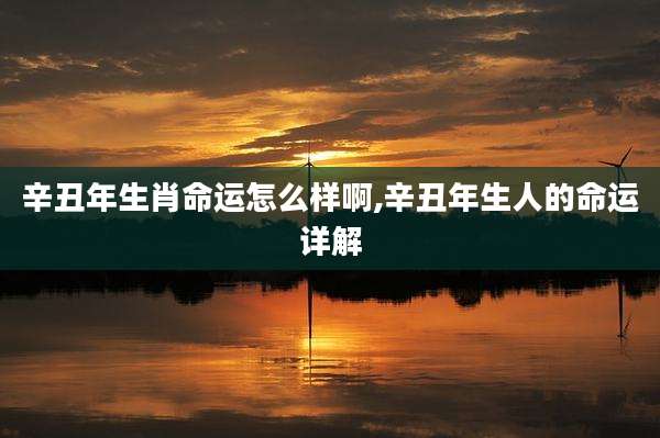 辛丑年生肖命运怎么样啊,辛丑年生人的命运详解
