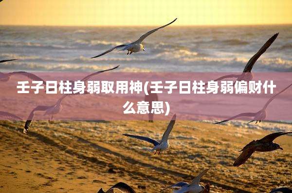 壬子日柱身弱取用神(壬子日柱身弱偏财什么意思)