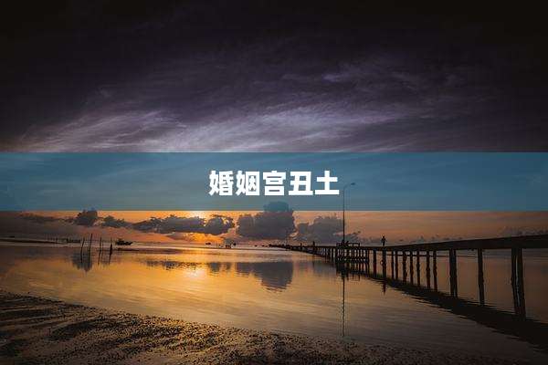 婚姻宫丑土
