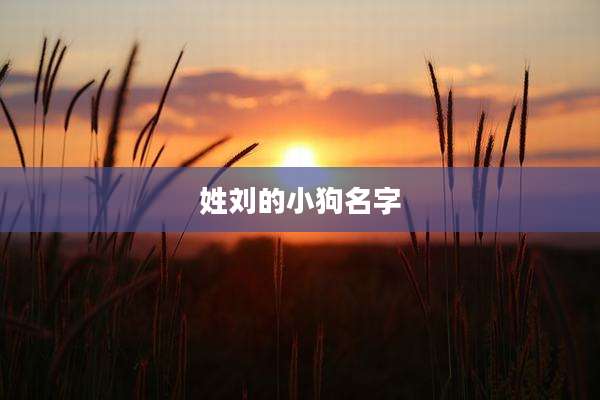 姓刘的小狗名字