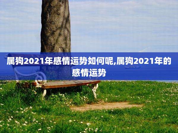属狗2021年感情运势如何呢,属狗2021年的感情运势