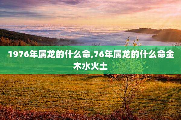 1976年属龙的什么命,76年属龙的什么命金木水火土