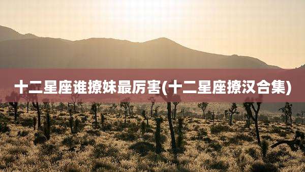 十二星座谁撩妹最厉害(十二星座撩汉合集)