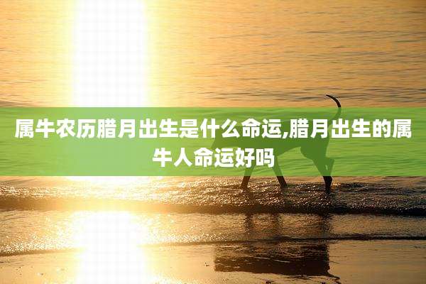 属牛农历腊月出生是什么命运,腊月出生的属牛人命运好吗