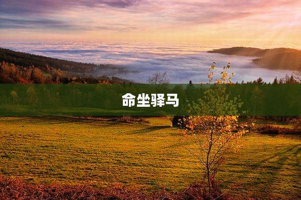 命坐驿马