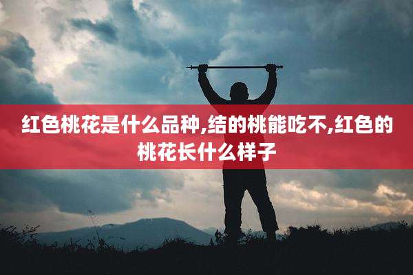 红色桃花是什么品种,结的桃能吃不,红色的桃花长什么样子
