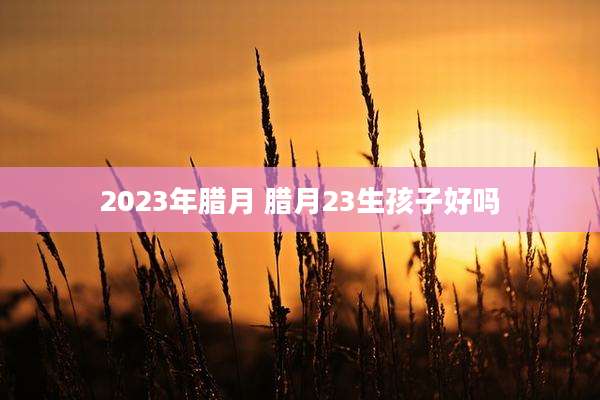 2023年腊月 腊月23生孩子好吗