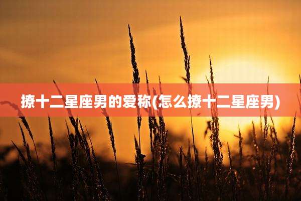 撩十二星座男的爱称(怎么撩十二星座男)