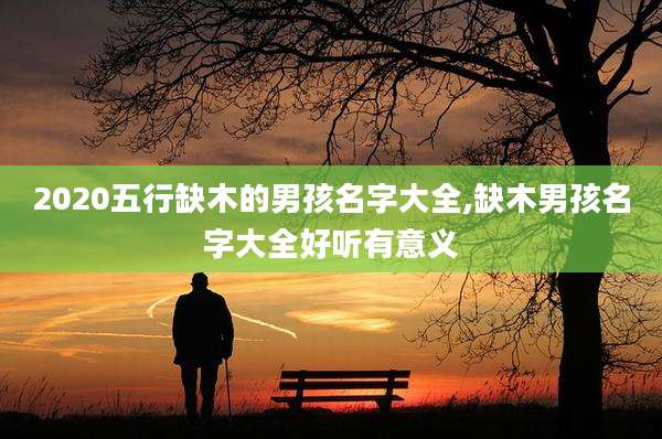 2020五行缺木的男孩名字大全,缺木男孩名字大全好听有意义