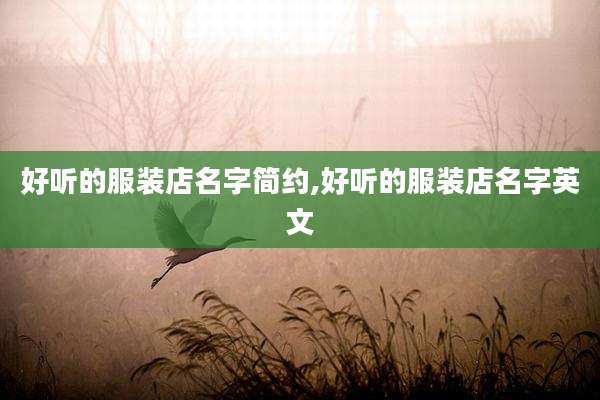 好听的服装店名字简约,好听的服装店名字英文
