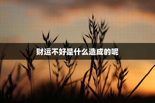 财运不好是什么造成的呢
