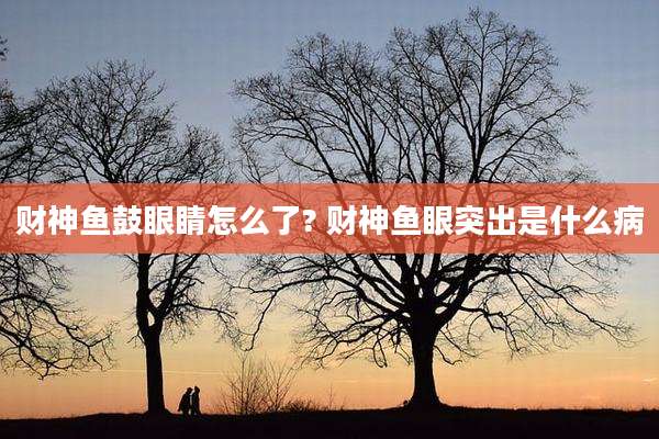 财神鱼鼓眼睛怎么了? 财神鱼眼突出是什么病