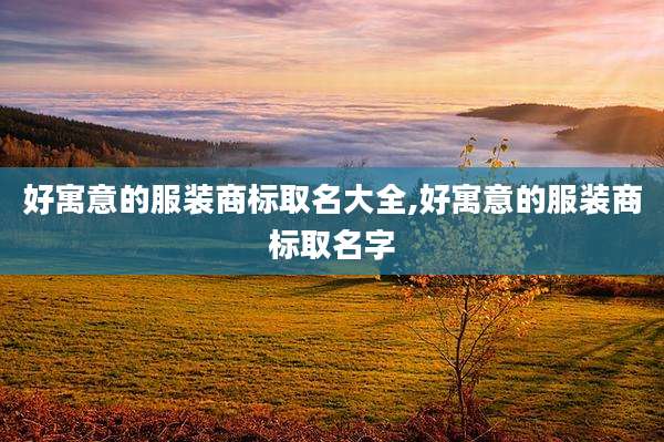 好寓意的服装商标取名大全,好寓意的服装商标取名字