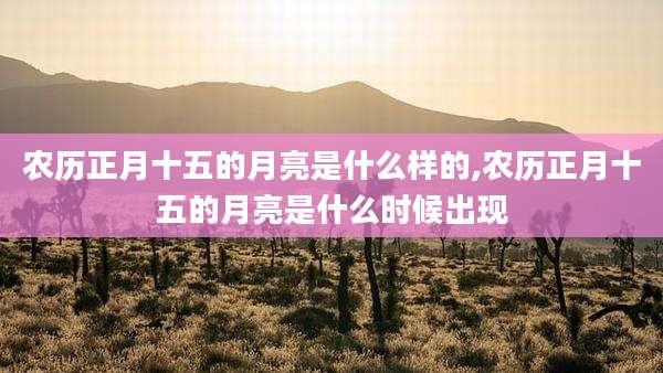 农历正月十五的月亮是什么样的,农历正月十五的月亮是什么时候出现
