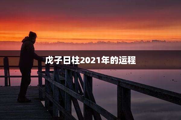 戊子日柱2021年的运程