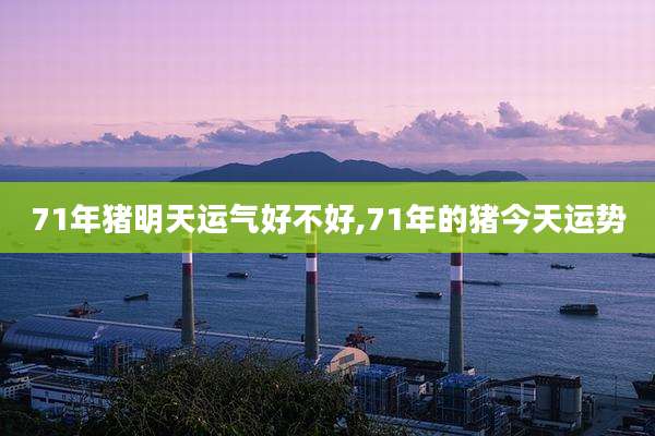 71年猪明天运气好不好,71年的猪今天运势