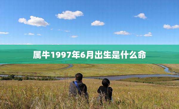 属牛1997年6月出生是什么命