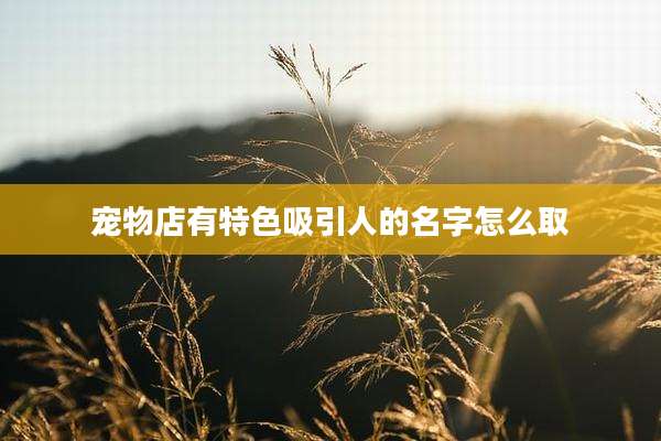 宠物店有特色吸引人的名字怎么取