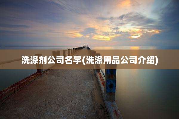 洗涤剂公司名字(洗涤用品公司介绍)
