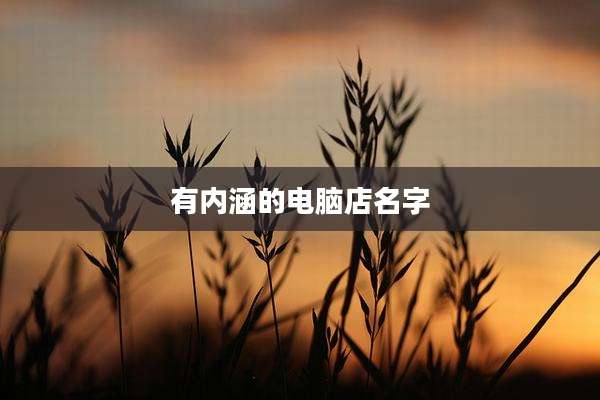 有内涵的电脑店名字